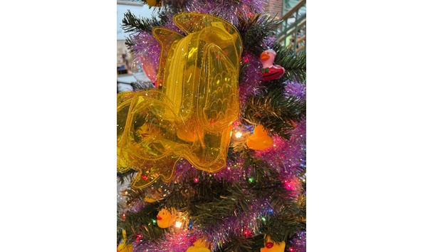 Big image just ducky  1 