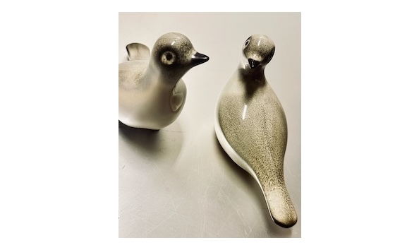 Big image mini magick20251108 3892 clclkz