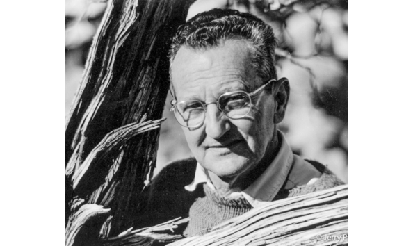 Big image mini magick20251108 3892 jky9e2