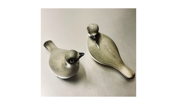 Big image mini magick20251108 3892 axzhsc