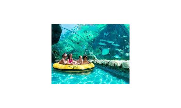 Big image seaworld tube