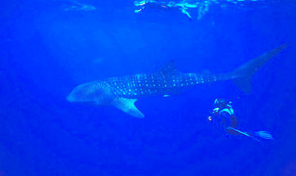 Big image mini magick20251114 3892 5n1ums