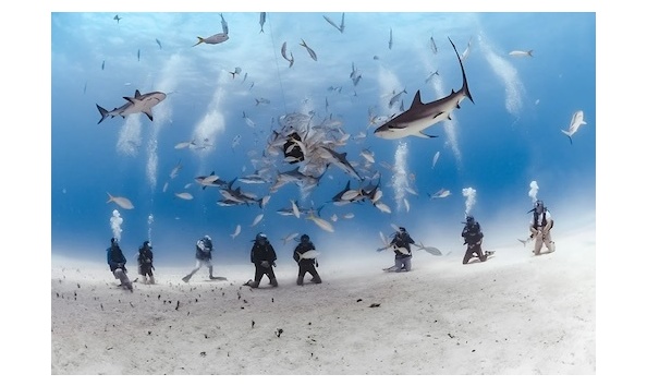 Big image the dive shop img3 copy