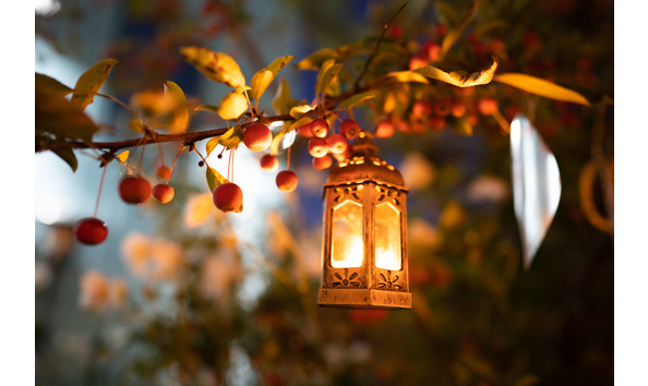 Organization Main Image