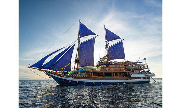 Big image mini magick20251117 3892 1nnsuun