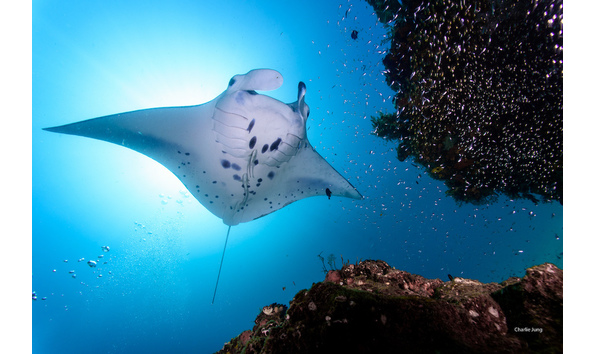 Big image mini magick20251117 3892 rd9r05