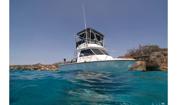 Big image blue pearl boat