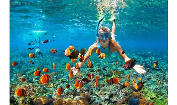 Big image snorkelen op curacao waar kan ik snorkelen