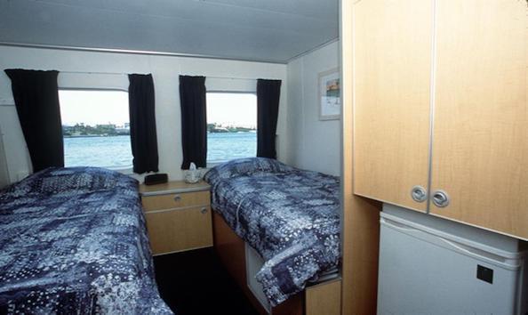 Big image mini magick20251122 3892 1efuczi