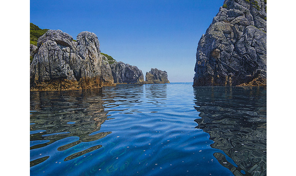 Big image inlet  mokohinau. 600