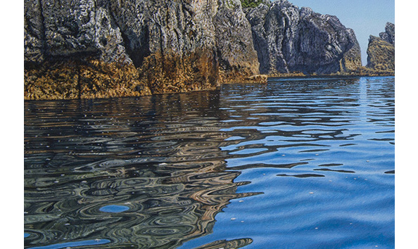 Big image inlet  mokohinau. detail