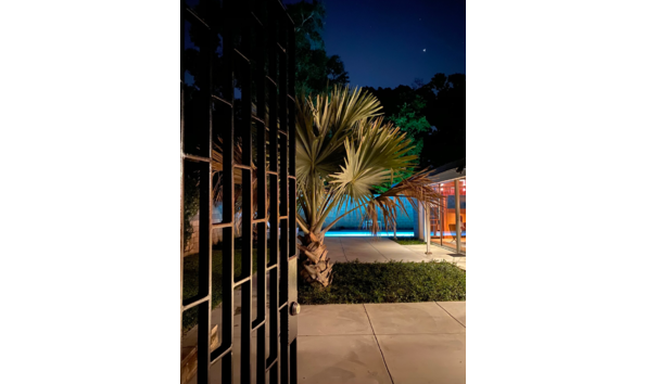 Big image mini magick20251202 3892 12hjln4