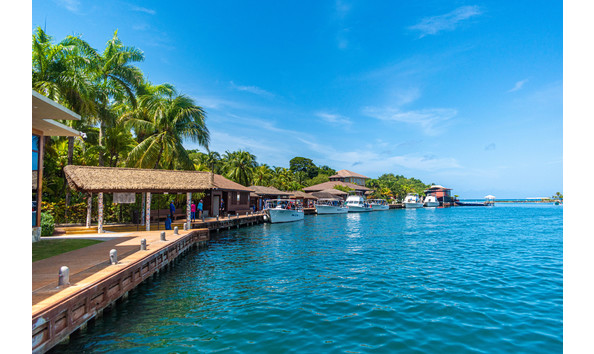 Big image d dsc 0330