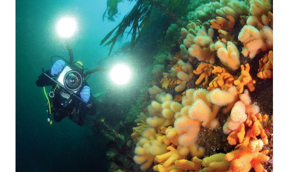 Big image gulen 248 of 992 00006