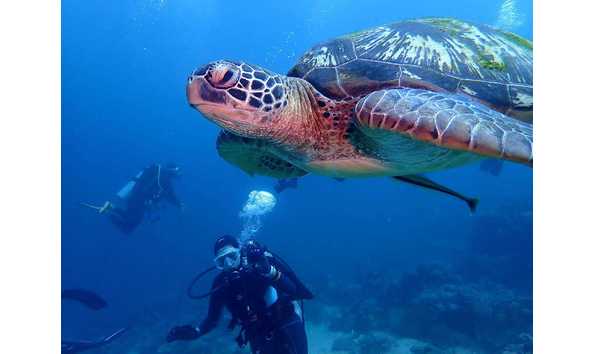 Big image 481899886 1083558307124600 869582446566140232 n