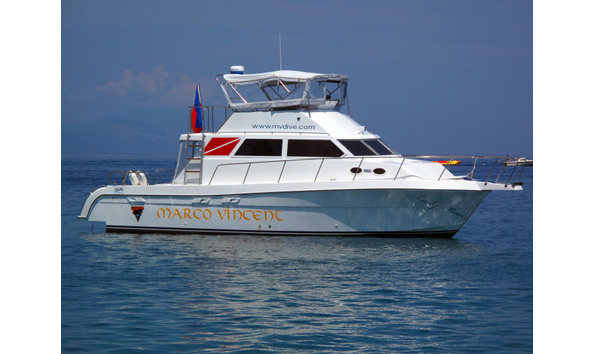 Big image 504309279 24182242194716618 177336126296363840 n