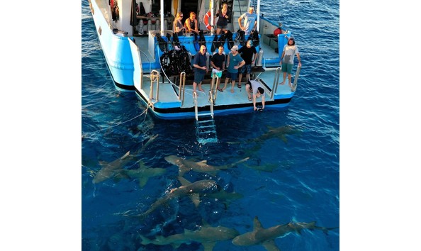 Big image img 9079wp