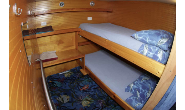Big image dolphin dream bunk cabin