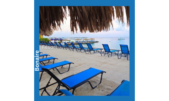 Big image divi flamingo