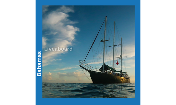 Big image the juliet