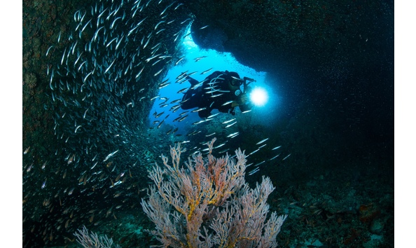 Big image diver labas camera d858208 edit