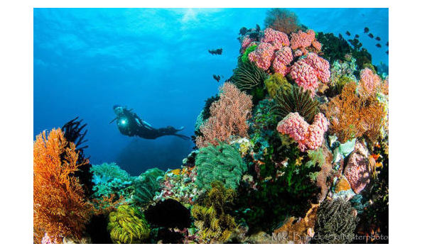 Big image 2023220122525 crystal blue 18