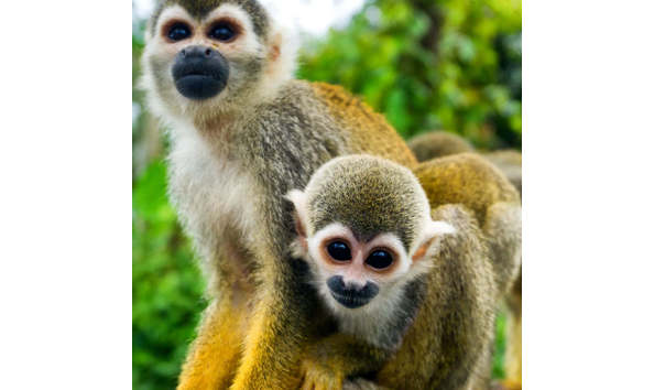 Big image 116491685 3446504722046870 3676941277030485253 n