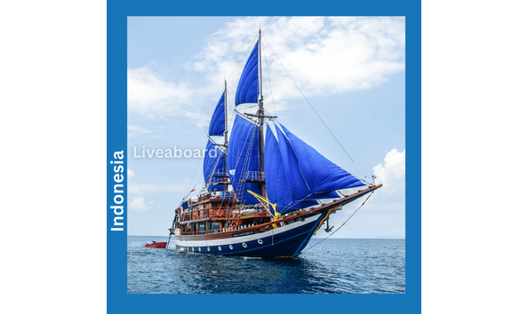 Big image sea safari 6