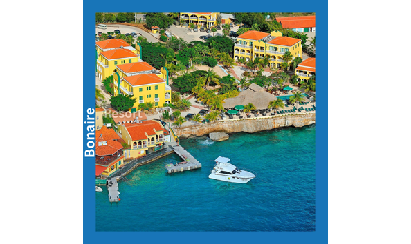 Big image buddy dive