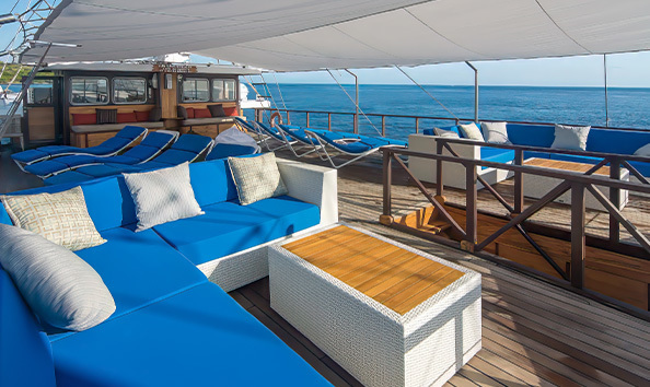 Big image samambaia 2