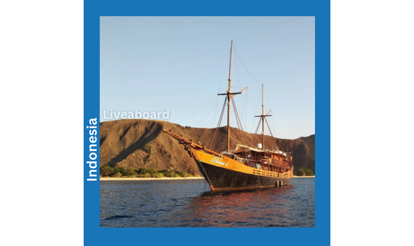 Big image dive damai