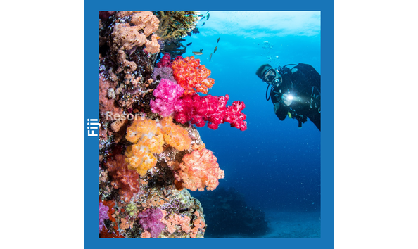 Big image garden island 