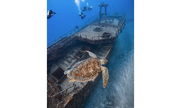 Big image 547257565 1290149606455689 3808557945416281463 n