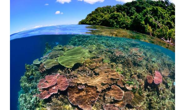 Big image 510245113 24038976345731908 3494192945564691037 n