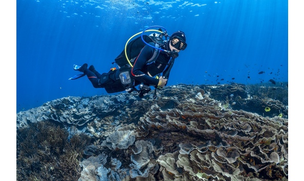 Big image diver in komodo   byron conroy