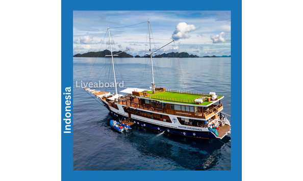 Big image master liveaboards