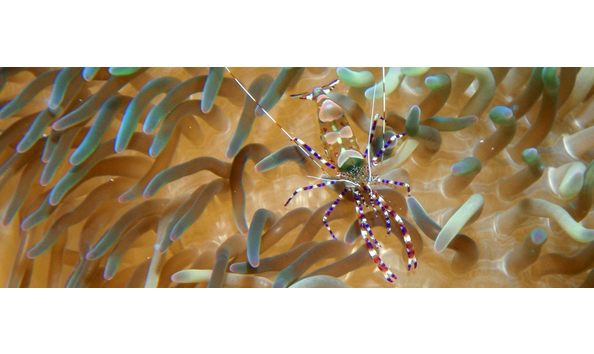 Big image 467394429 10161716423222230 130158979832372416 n