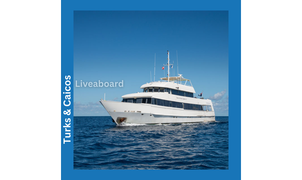 Big image explorer ii