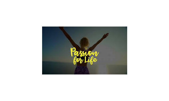 Big image purelife spady auction 3