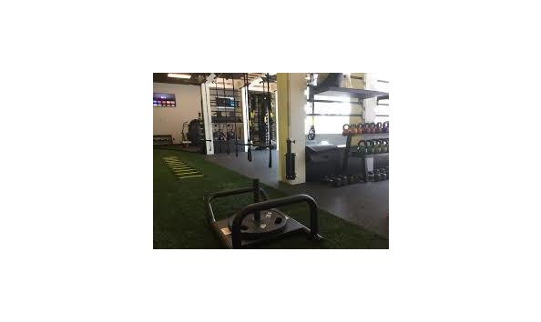 Big image purelife spady auction 2