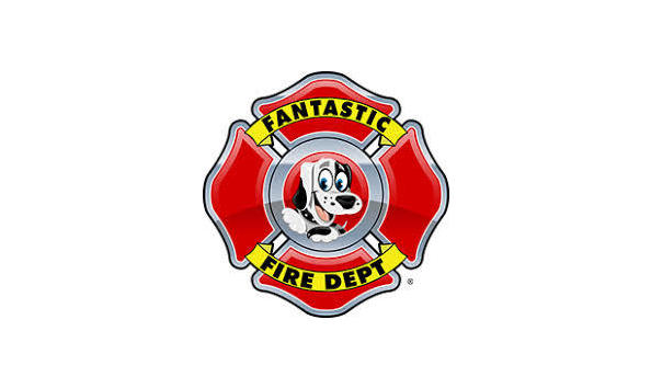 Big image ffd logo