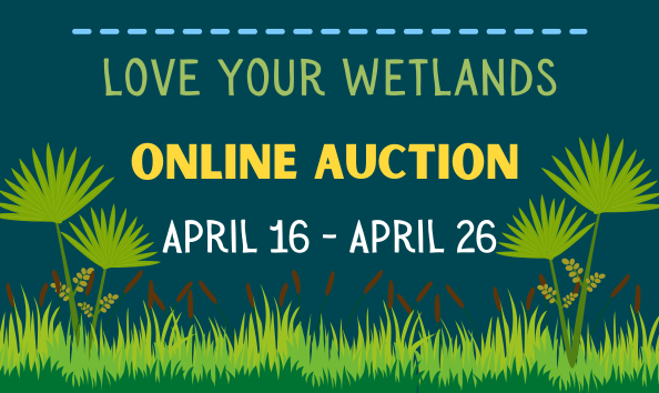 Organization Main Image