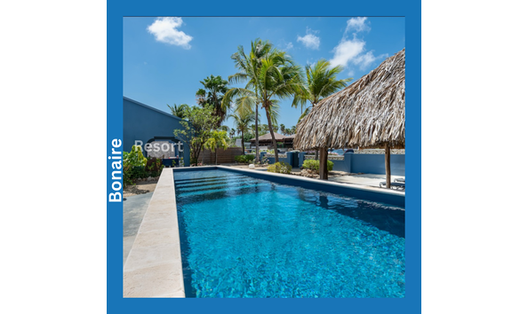 Big image vip diving