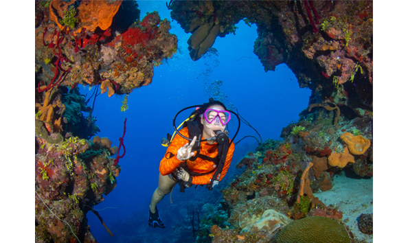 Big image copy of 500x360 4