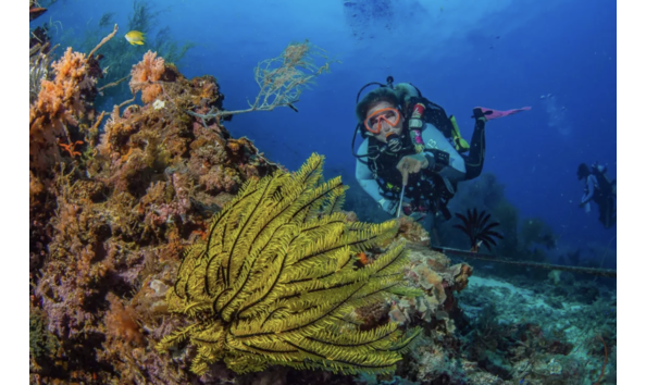 Big image screenshot 2026 02 08 at 12.22.07 am