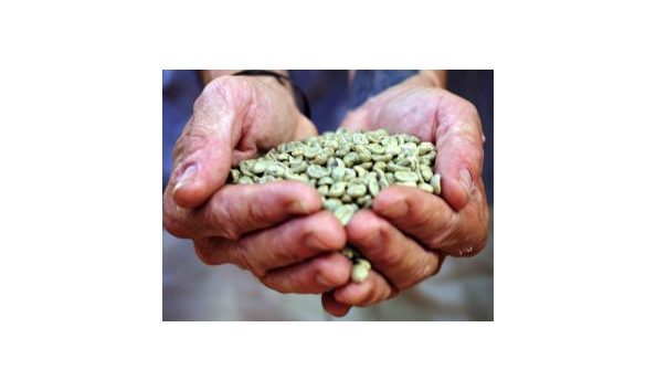 Big image vicr beans