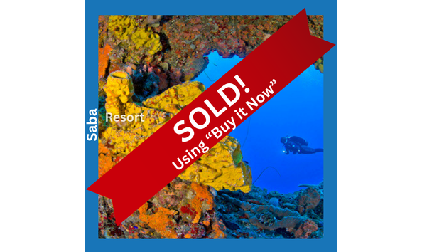 Big image sea saba   juliana s