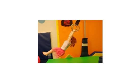 Big image monkey swing