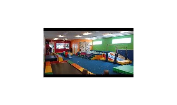 Big image monkey gym