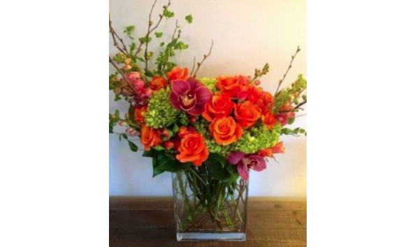 Big image mini magick20180415 83240 1fcna5j